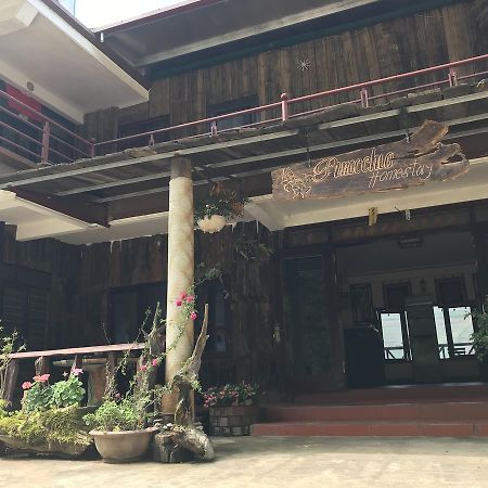 Pinocchio Tavan Homestay 사파 외부 사진